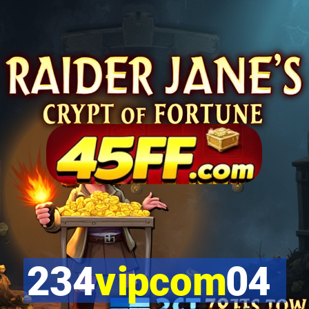 234vipcom04