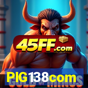PIG138com