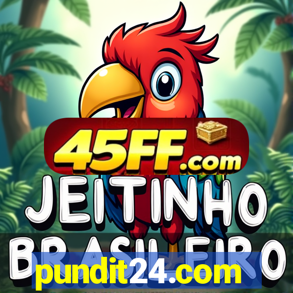 pundit24.com